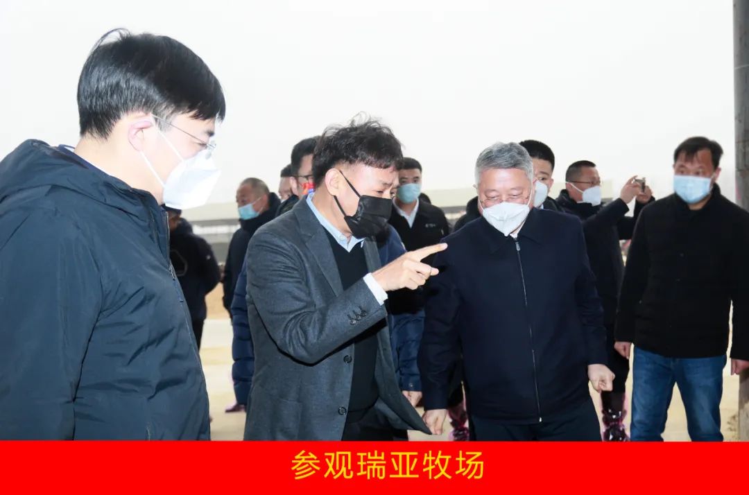 新年開新局 合作促發(fā)展丨佳木斯市委常委、副市長閆志剛一行蒞臨花花牛乳業(yè)集團(tuán)及佳田企業(yè)考察座談