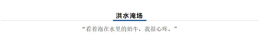 【乳報·聚焦】“豫”難而上的中原牛人“太中了”！