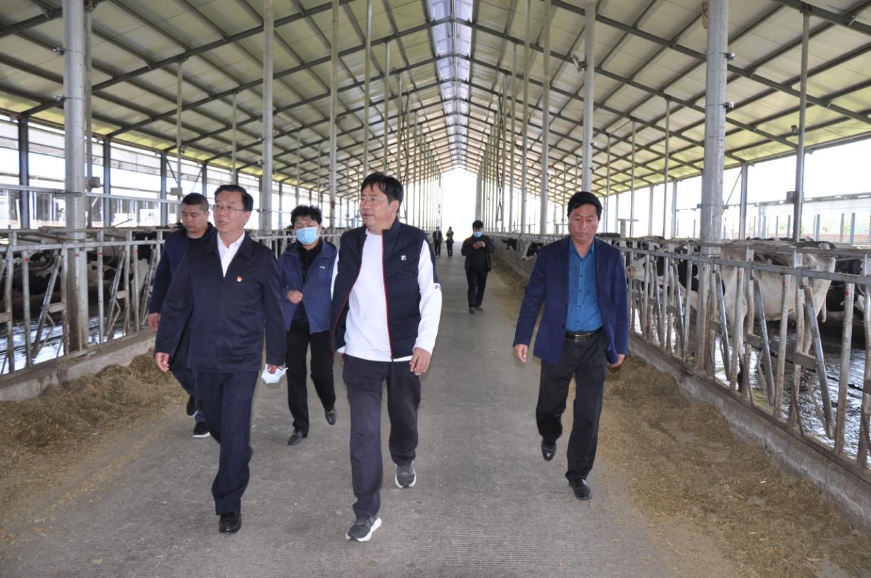商丘市委常委、宣傳部部長王全周一行蒞臨睢縣瑞亞牧業(yè)有限公司調(diào)研