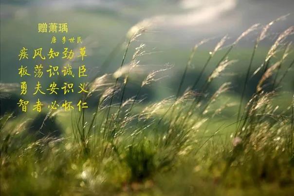 花花牛 | 疾風(fēng)來臨，你是不是勁草？