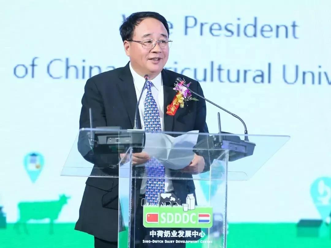 SDDDC走進(jìn)河南，看看花花牛的國際范兒！