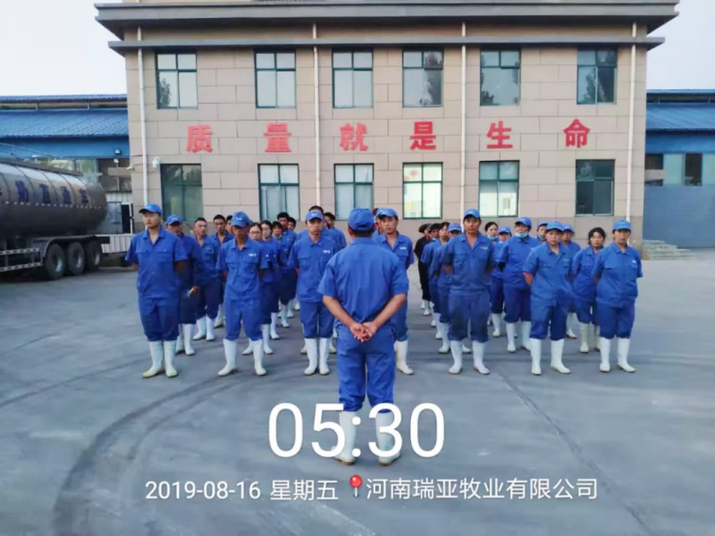 小晨會(huì)·大能量——砥礪奮進(jìn)的花花牛，加油！